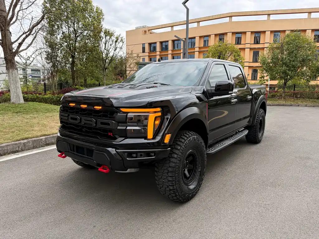 Ford F-150 Raptor 2021 — фото 1