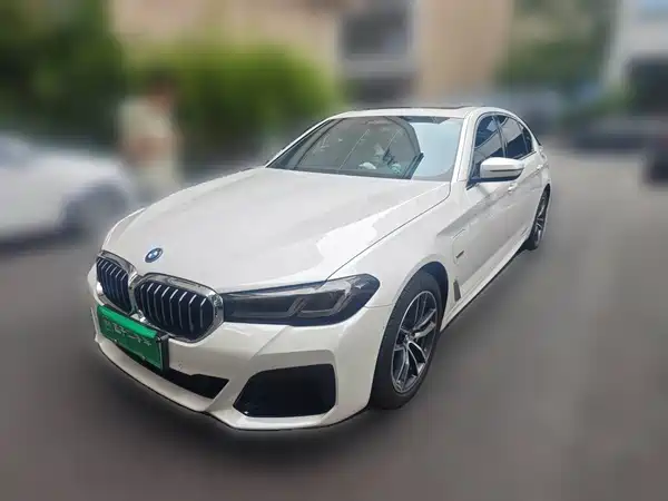 BMW 5 Series New Energy 2022