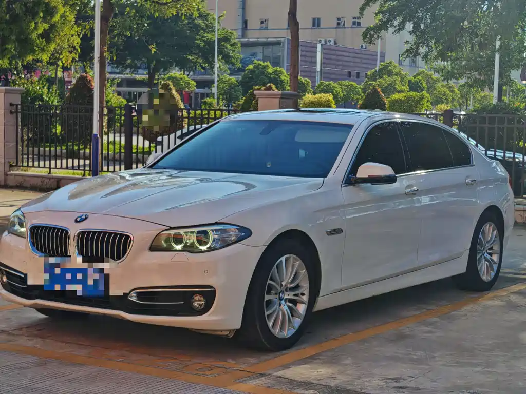 BMW 5 Series 2014 — фото 1