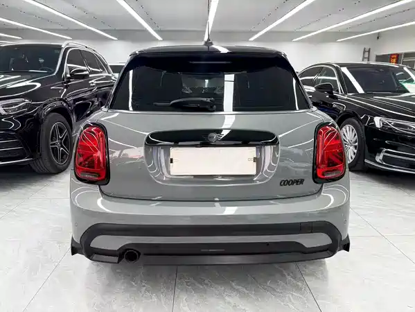 MINI MINI 2022