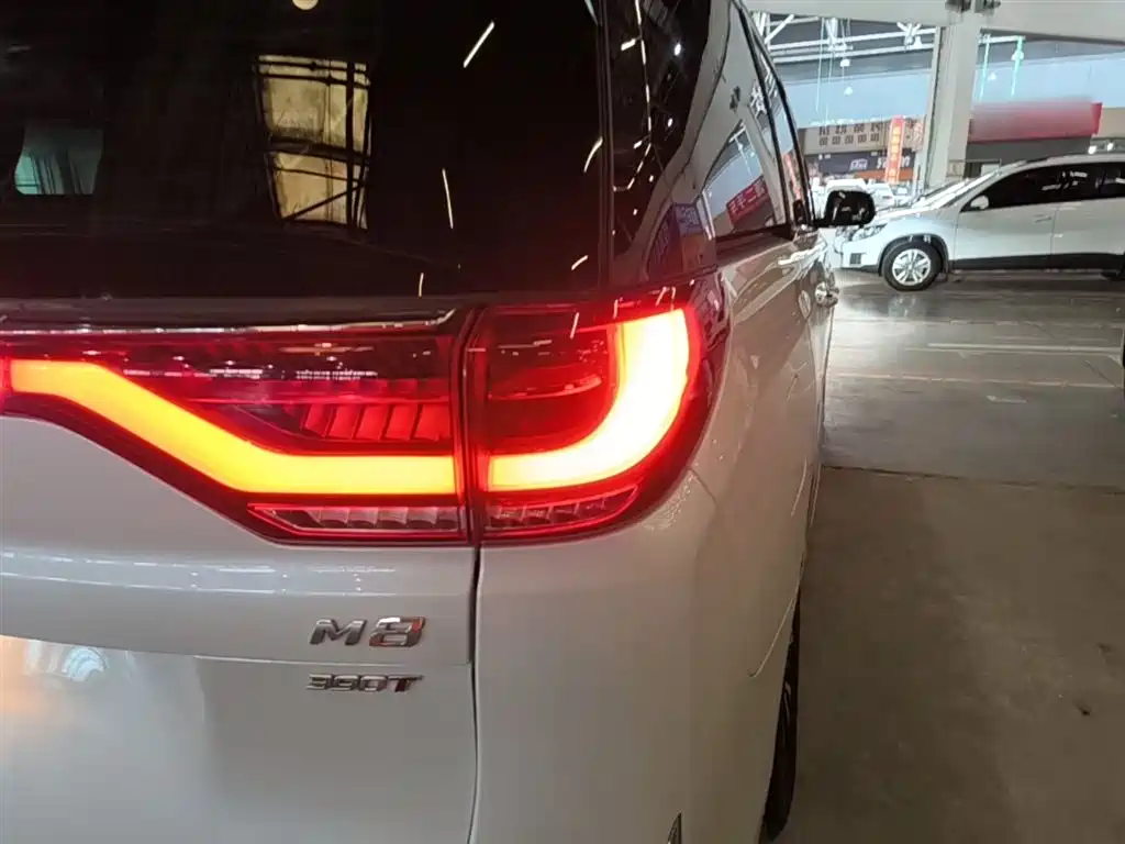 GAC Motor Trumpchi M8 2023 — фото 8