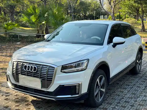 Audi Q2L E-Tron 2020