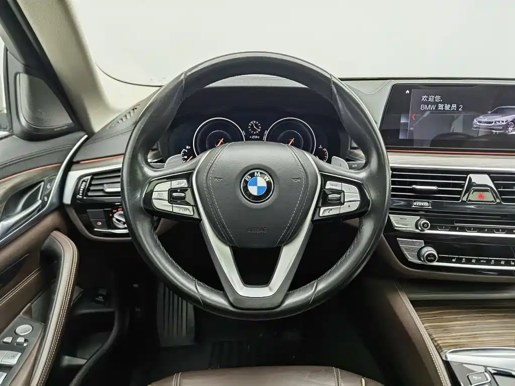 BMW 5 Series 2019 — фото 11