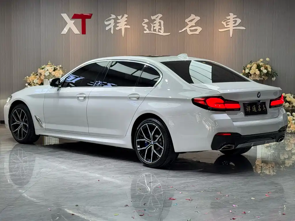 BMW 5 Series 2020 — фото 19