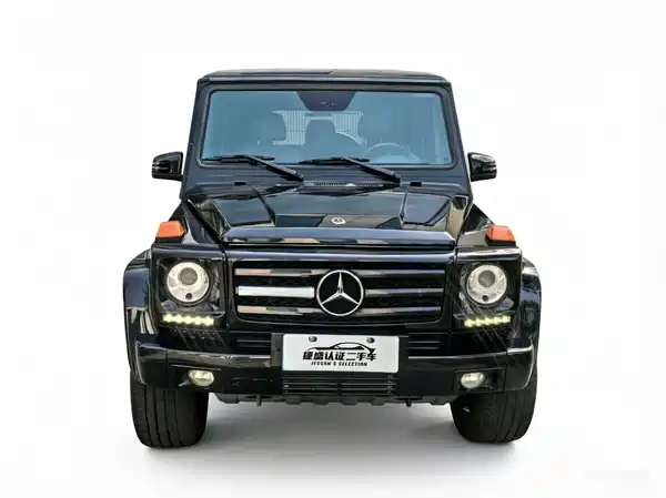 Mercedes-Benz G-Class 2010