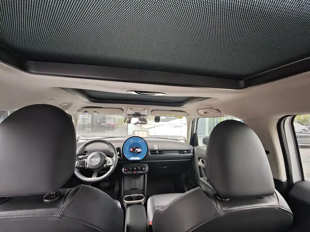 MINI MINI 2025
