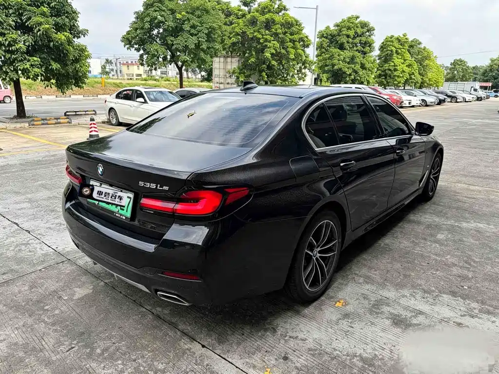 BMW 5 Series New Energy 2021