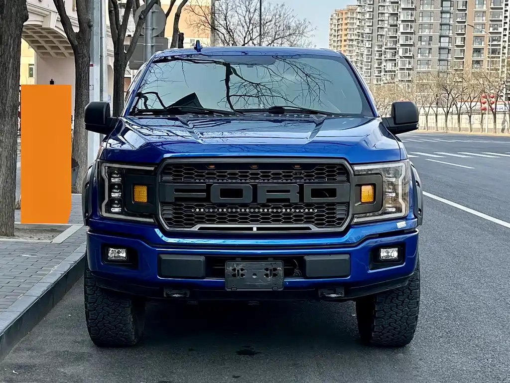 Ford F-150 Raptor 2018 — фото 2