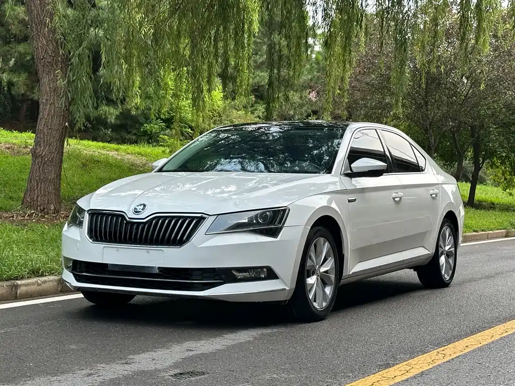 Skoda Speedy 2015