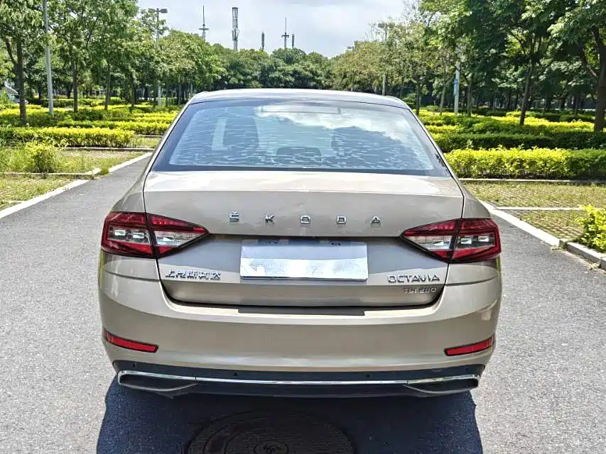 Skoda Octavia 2020 — фото 9