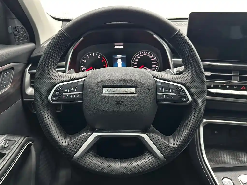 Haval H6 2022 — фото 10