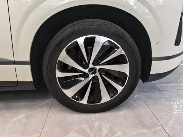 BYD Sealion 06 2025