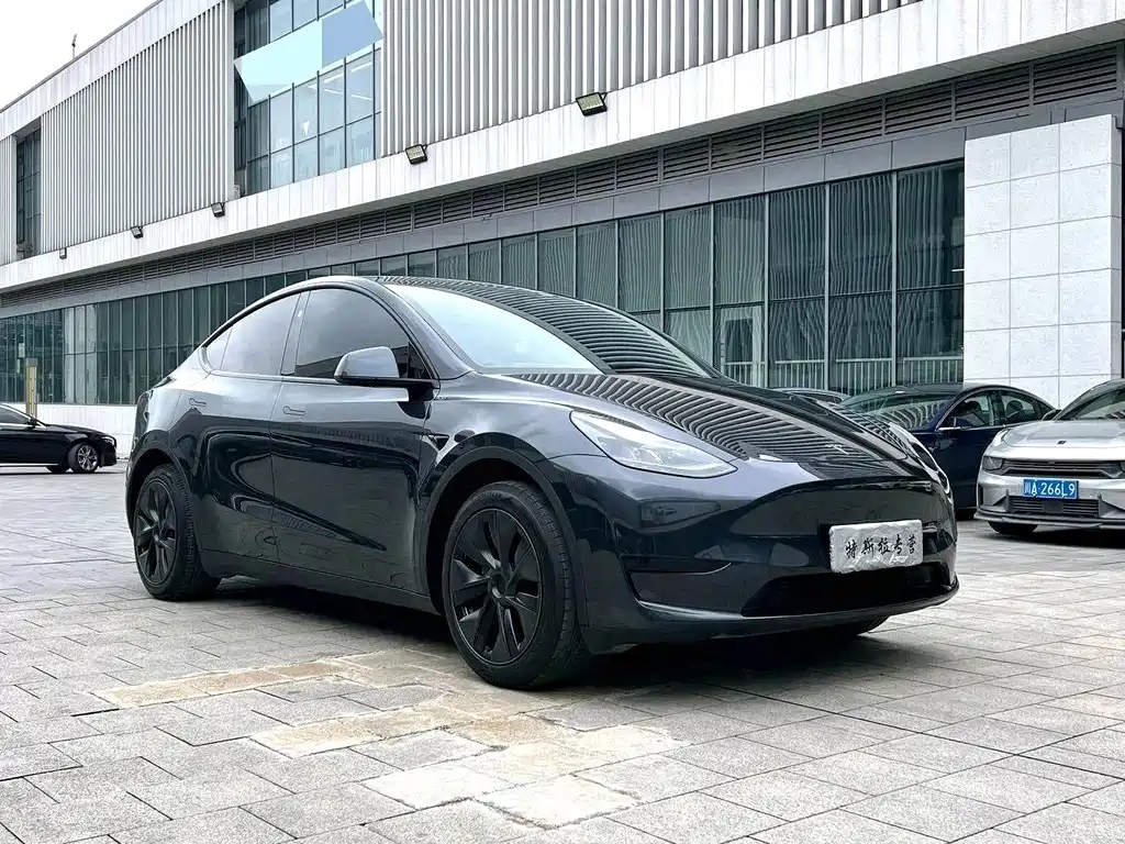 Tesla Model Y 2024 — фото 3
