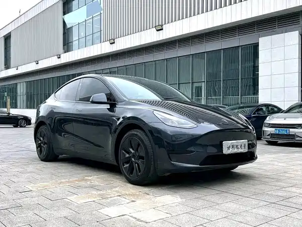 Tesla Model Y 2024