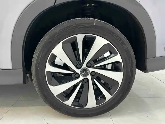 BYD Song PLUS New Energy 2024 — фото 16