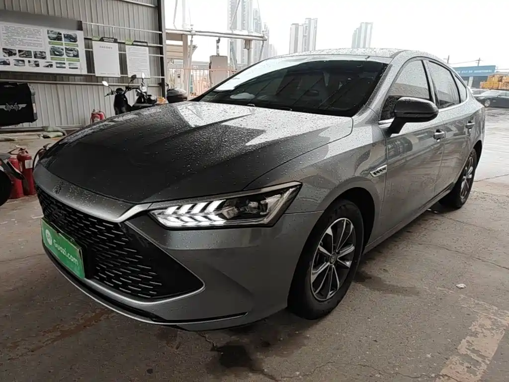 BYD Qin PLUS 2024 — фото 1