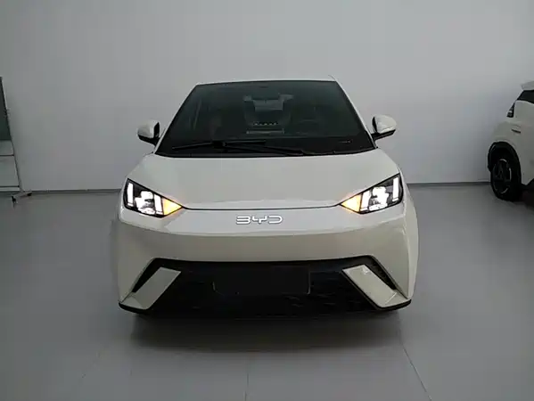 BYD Seagull 2024