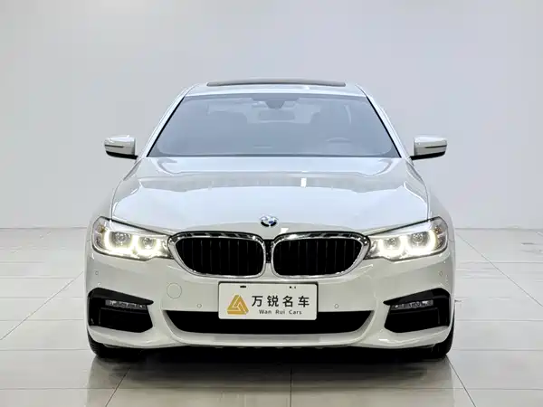 BMW 5 Series 2019