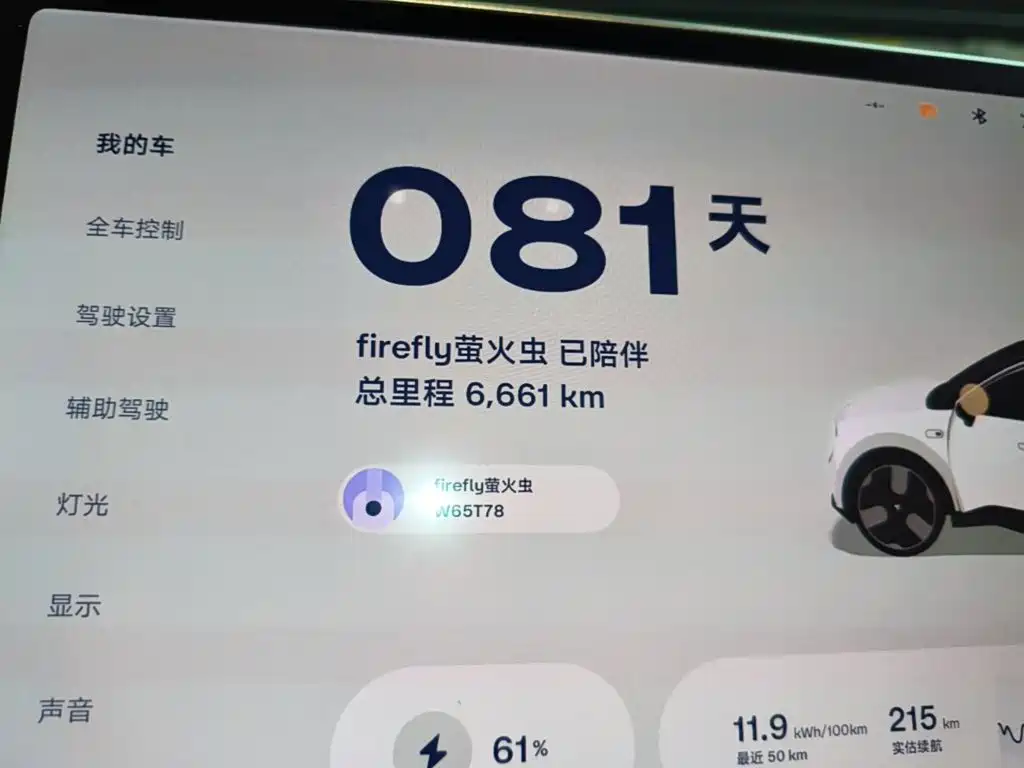 Firefly Firefly 2025 — фото 12