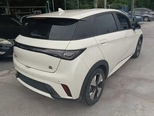 BYD Dolphin 2023
