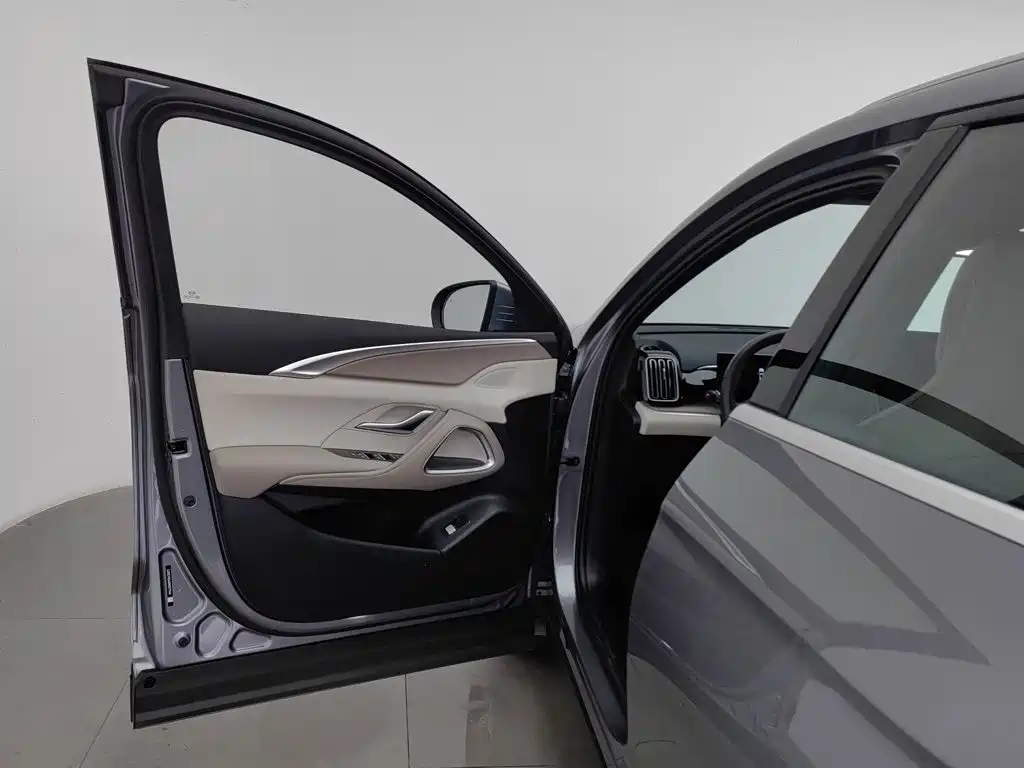BYD Song Pro New Energy 2025 — фото 8