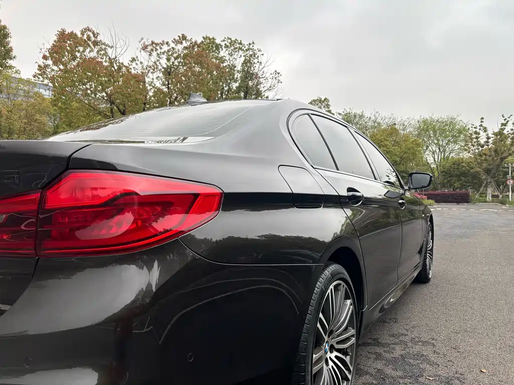 BMW 5 Series 2019 — фото 19
