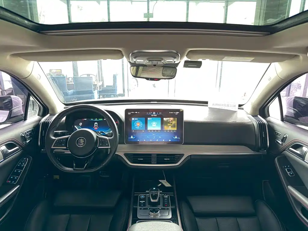 BYD Tang New Energy 2019 — фото 19