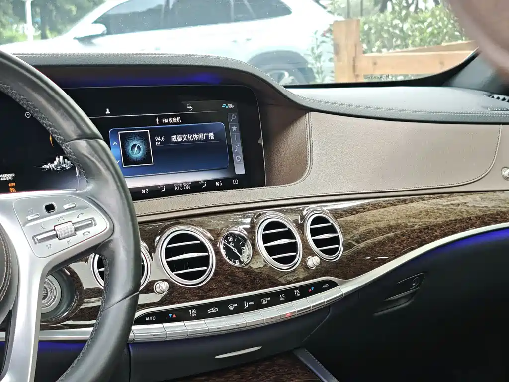 Mercedes-Benz S-Class 2020 — фото 14
