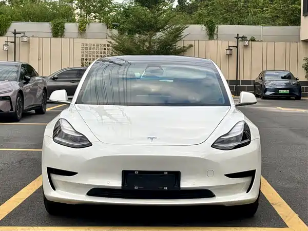 Tesla Model 3 2019