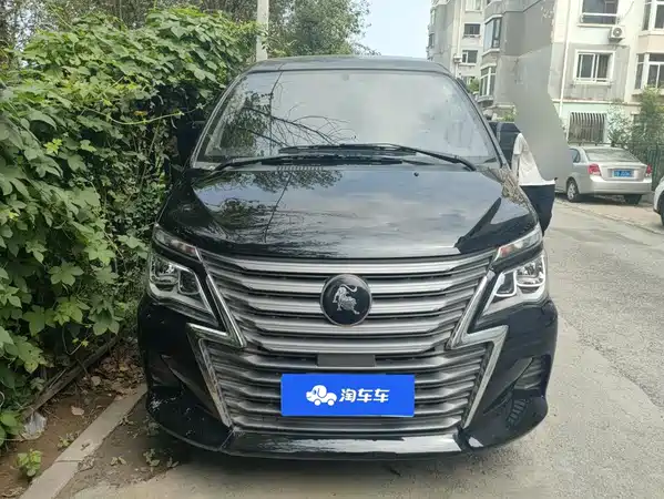 Dongfeng Lingzhi 2024