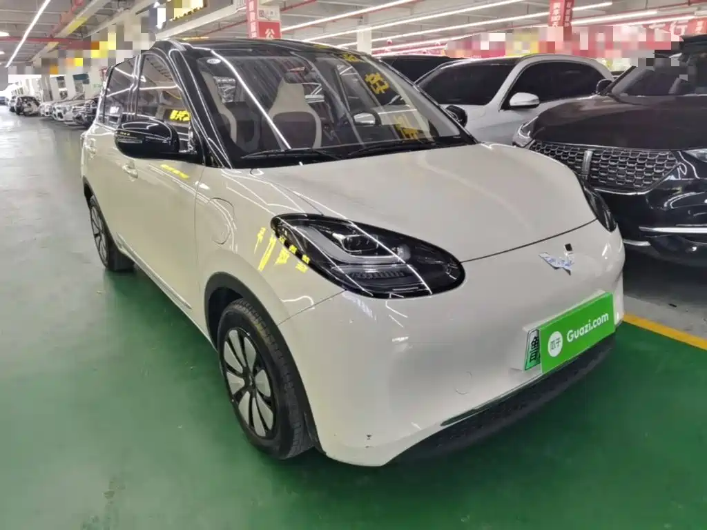 Wuling Bingo 2024