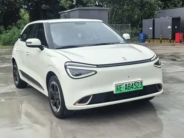 Dongfeng Nano 01 2024