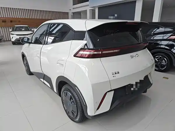 BYD Seagull 2024