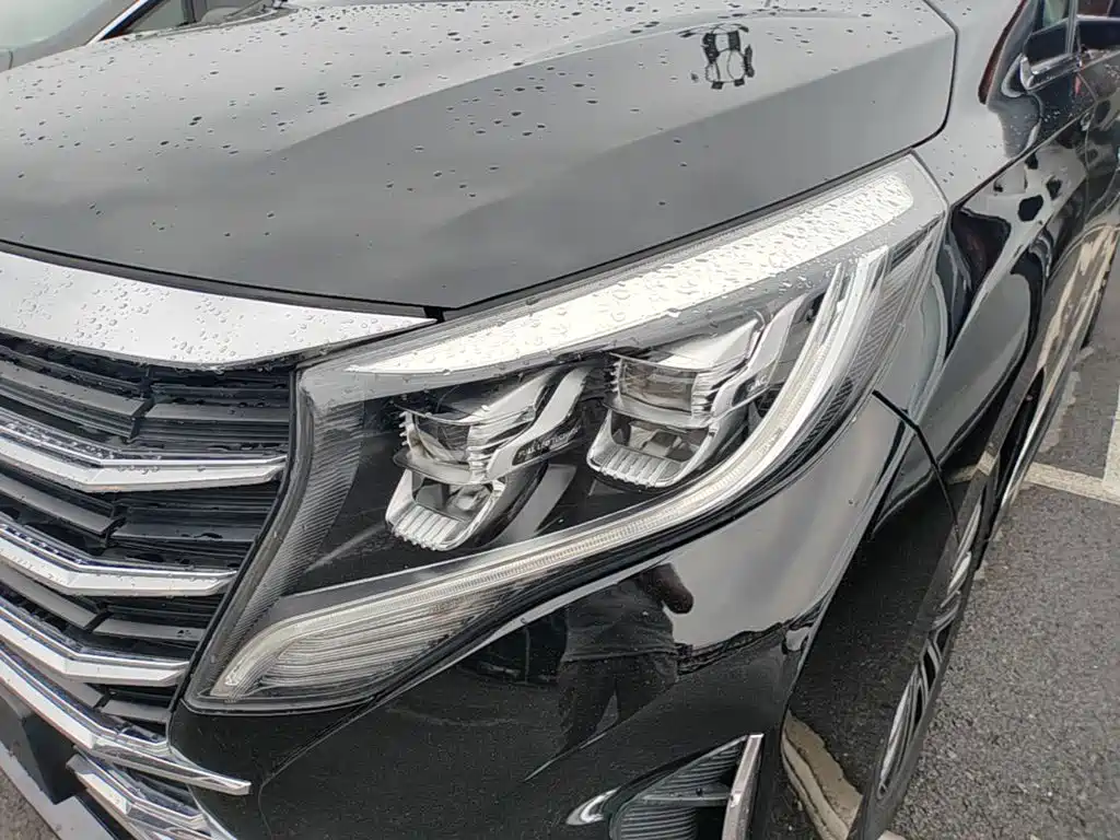 GAC Trumpchi M8 2021 — фото 24