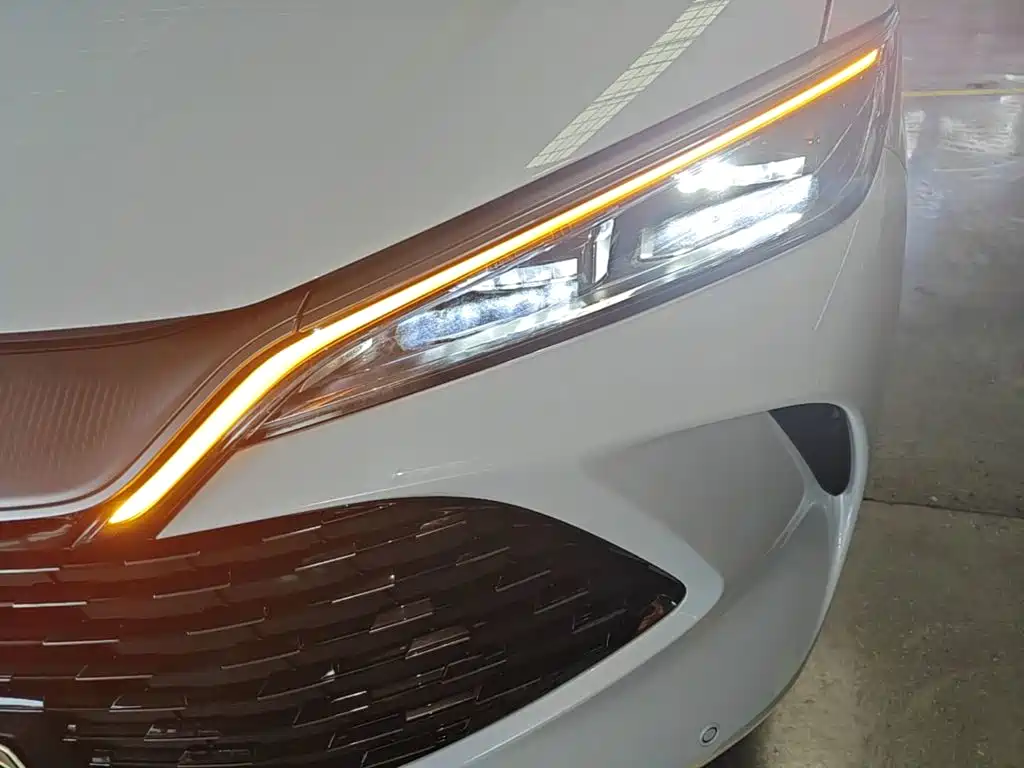 BYD L DM-i 2024 — фото 24