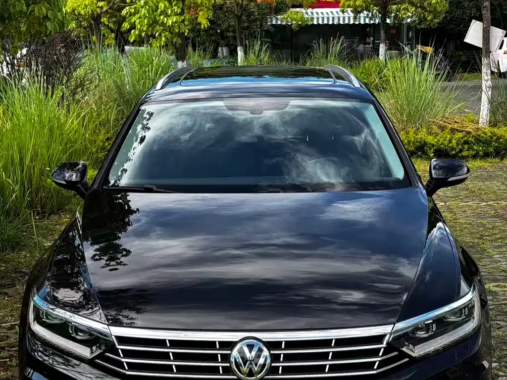 Volkswagen Viloran 2018 — фото 2