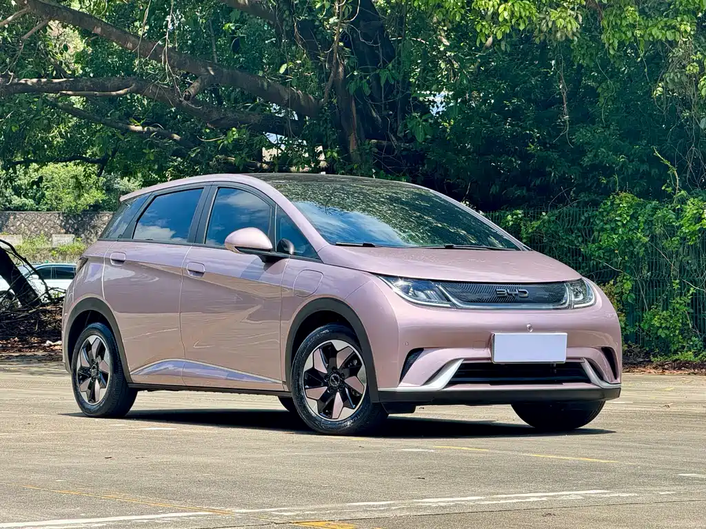 BYD Dolphin 2024