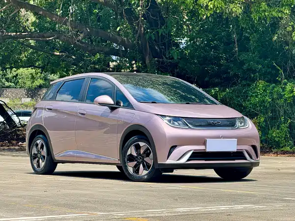 BYD Dolphin 2024