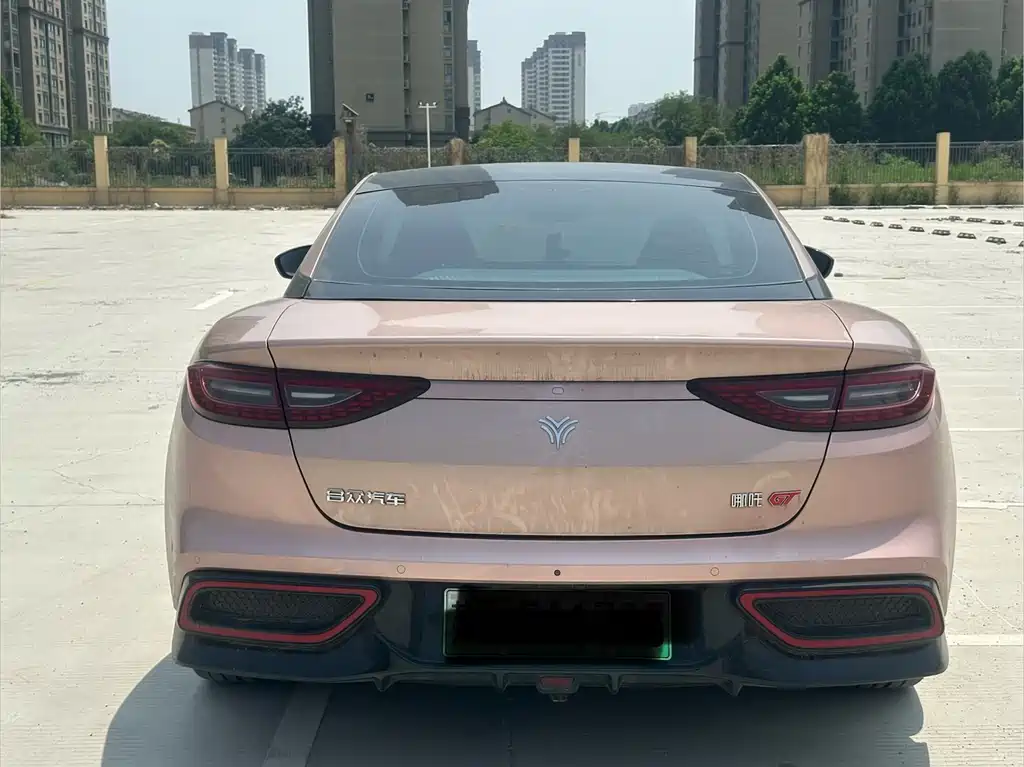 Neta GT 2024