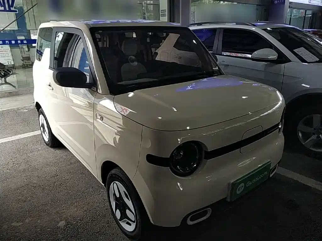 Galaxy Panda 2025