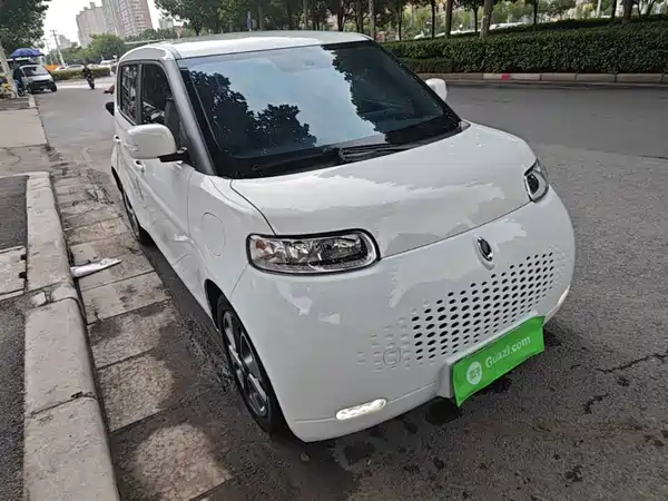 Ora White Cat 2021