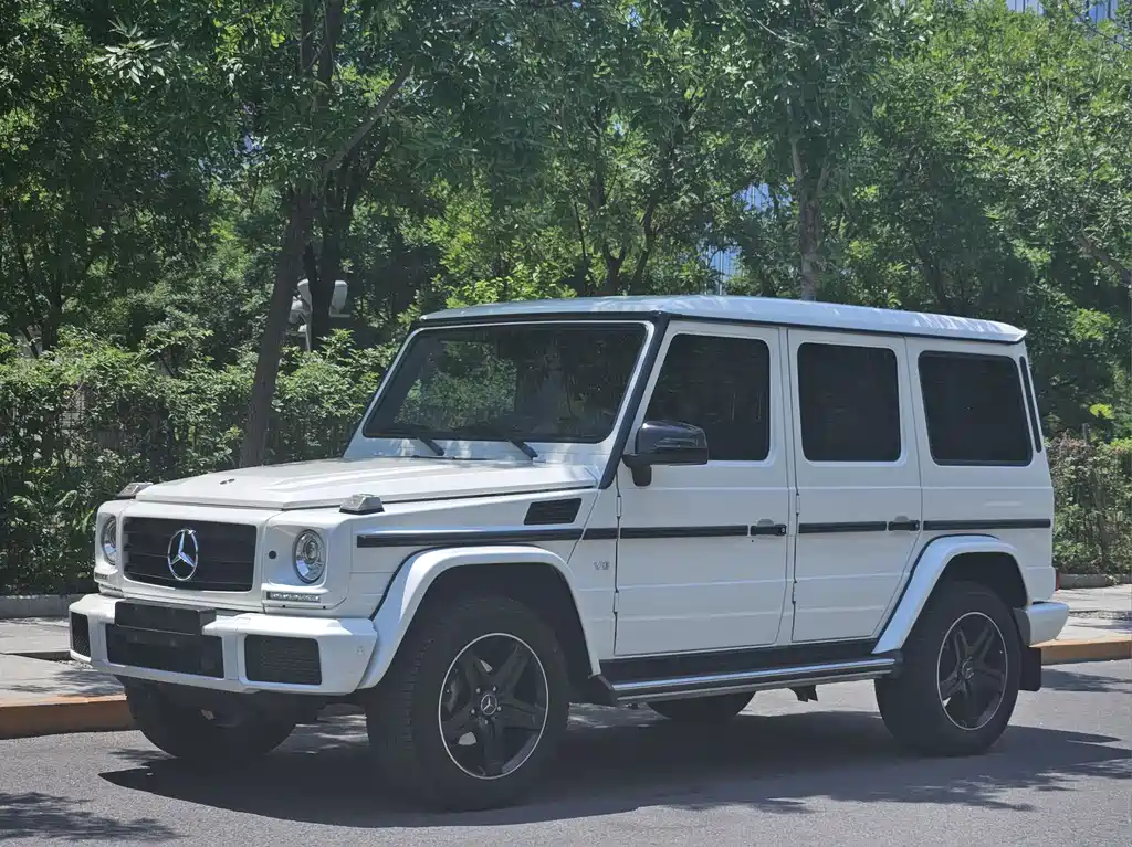 Mercedes-Benz G-Class 2018 — фото 1