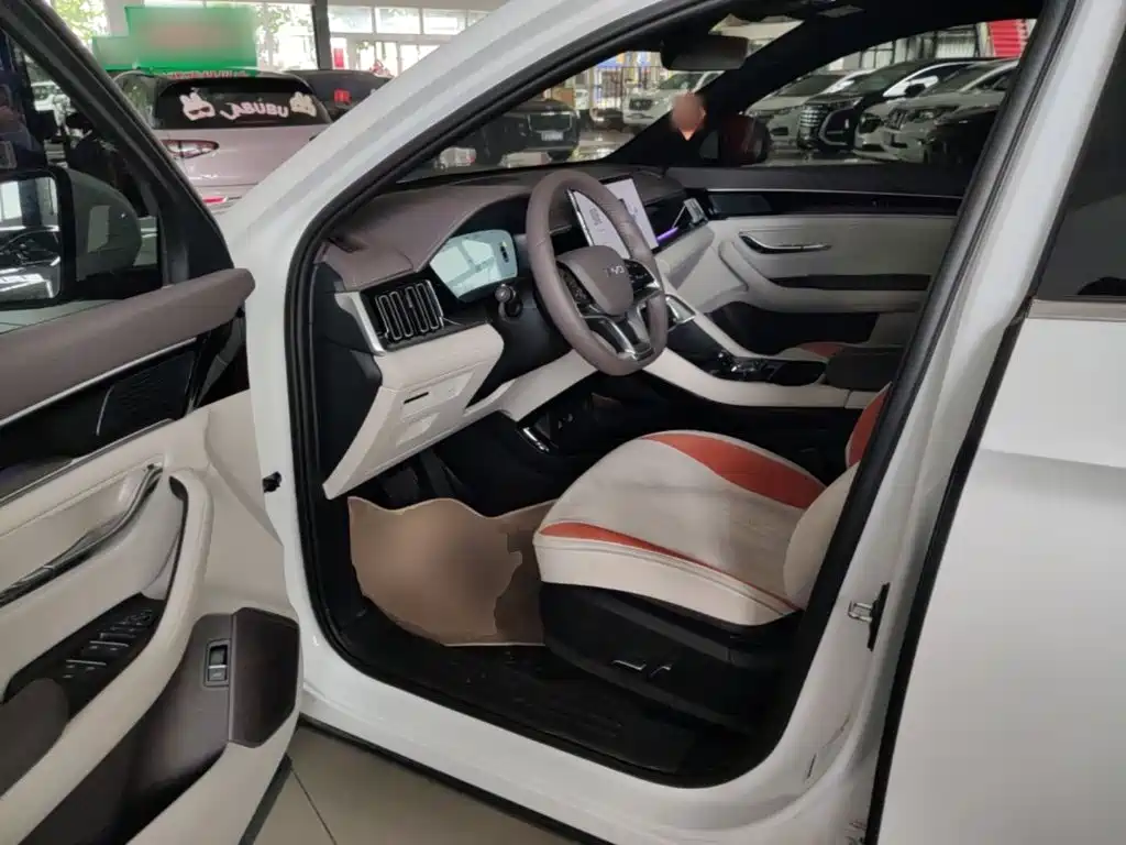 BYD PLUS New Energy 2025 — фото 16