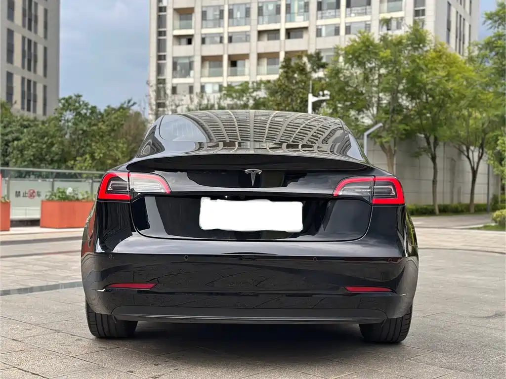 Tesla Model 3 2020 — фото 16