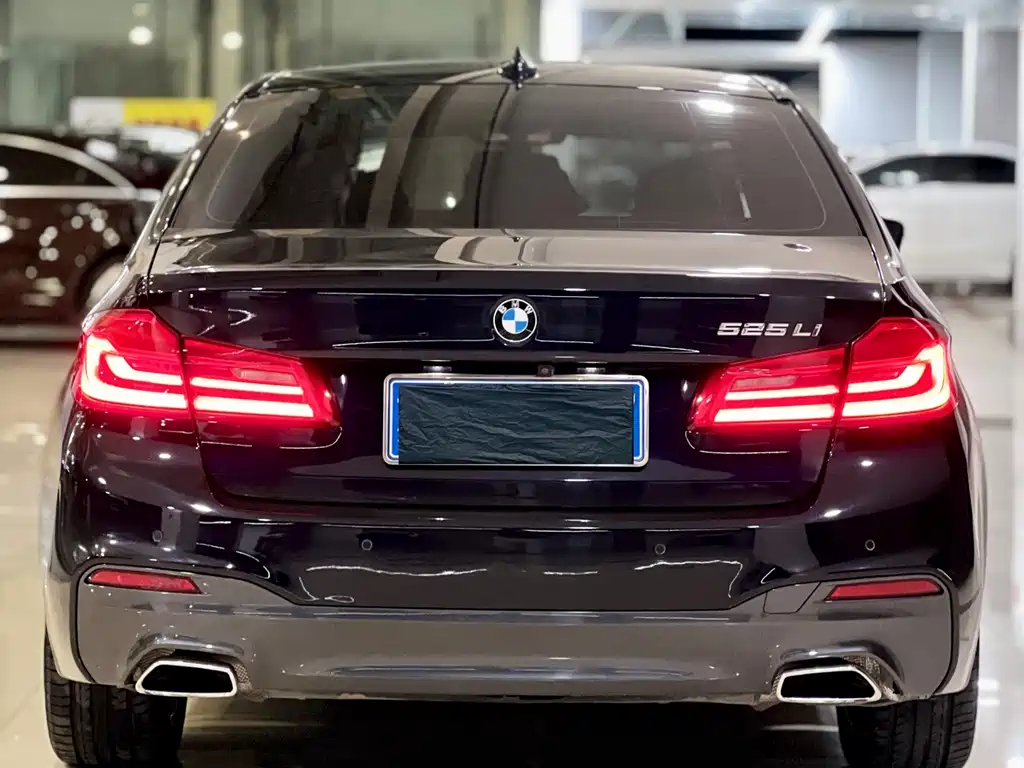BMW 5 Series 2018 — фото 5