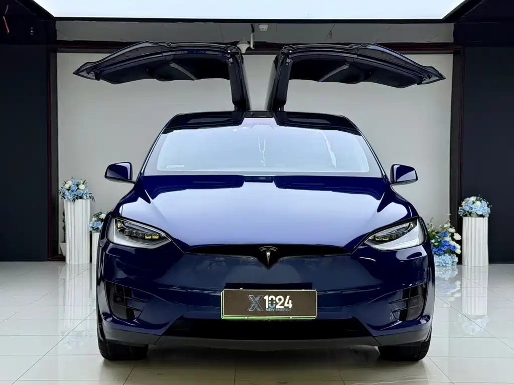 Tesla Model X 2019 — фото 2