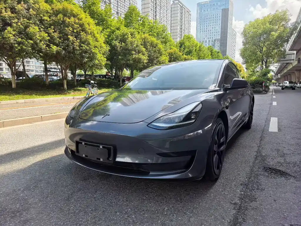 Tesla Model 3 2021 — фото 1