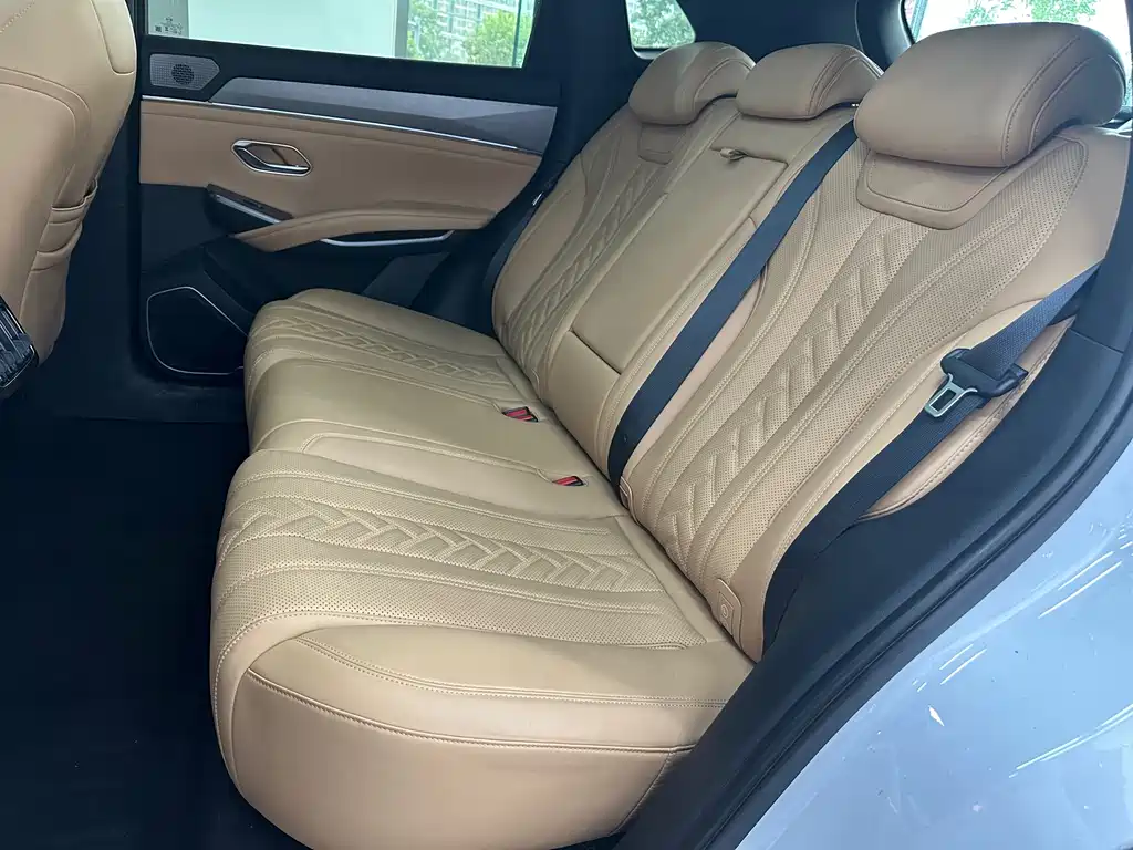 BYD L DM-i 2024 — фото 19