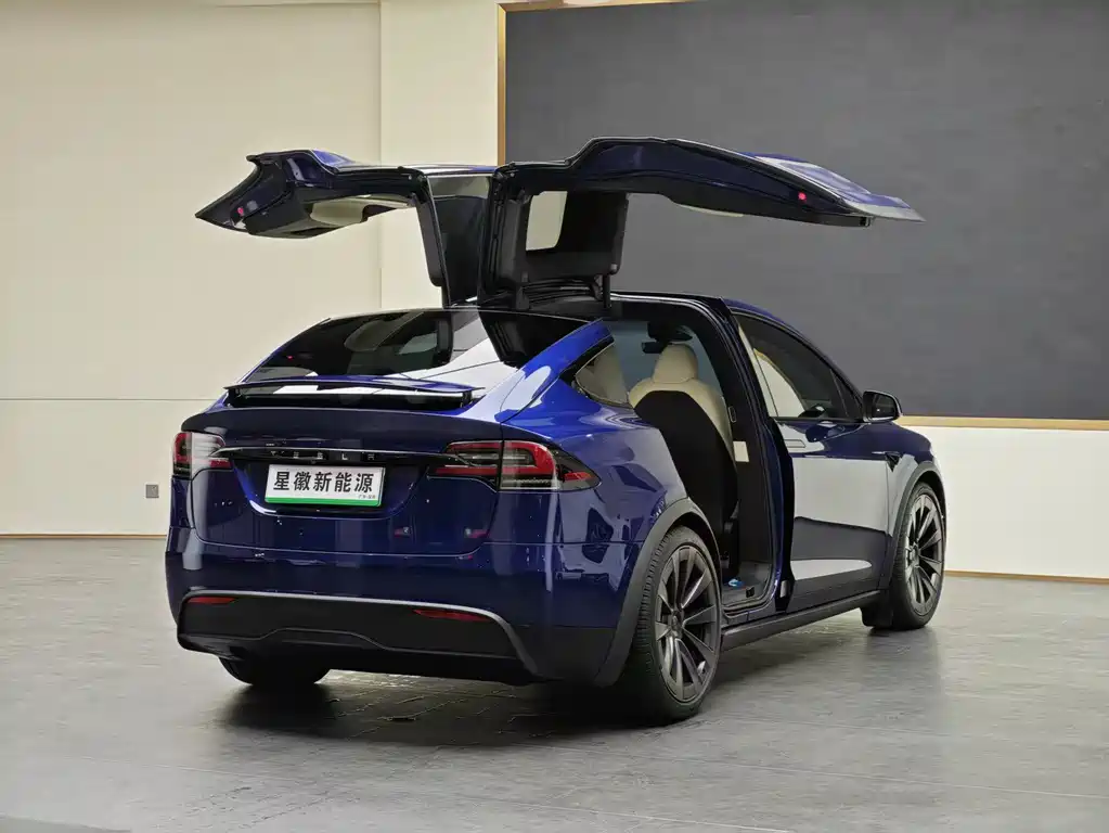 Tesla Model X 2023 — фото 18
