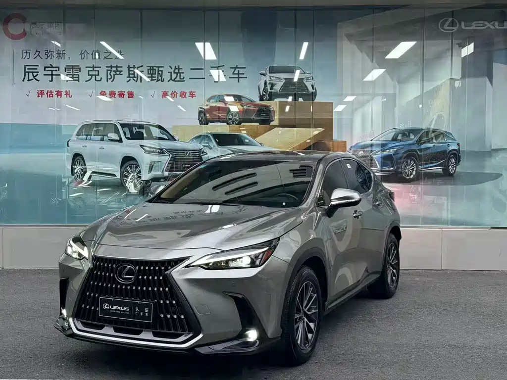 Lexus NX 2024 — фото 1